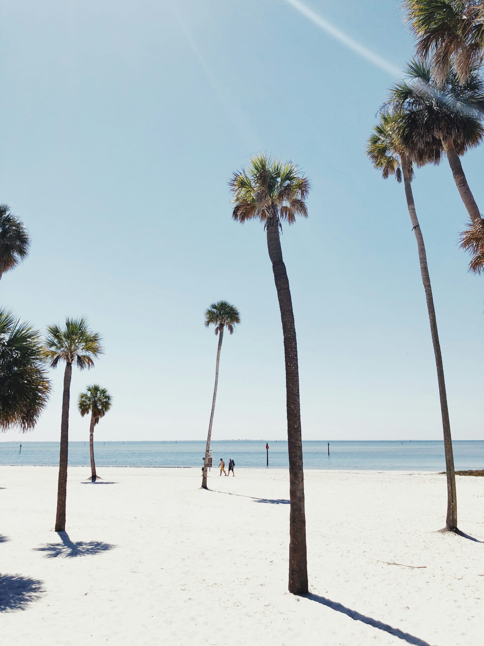 Tampa
