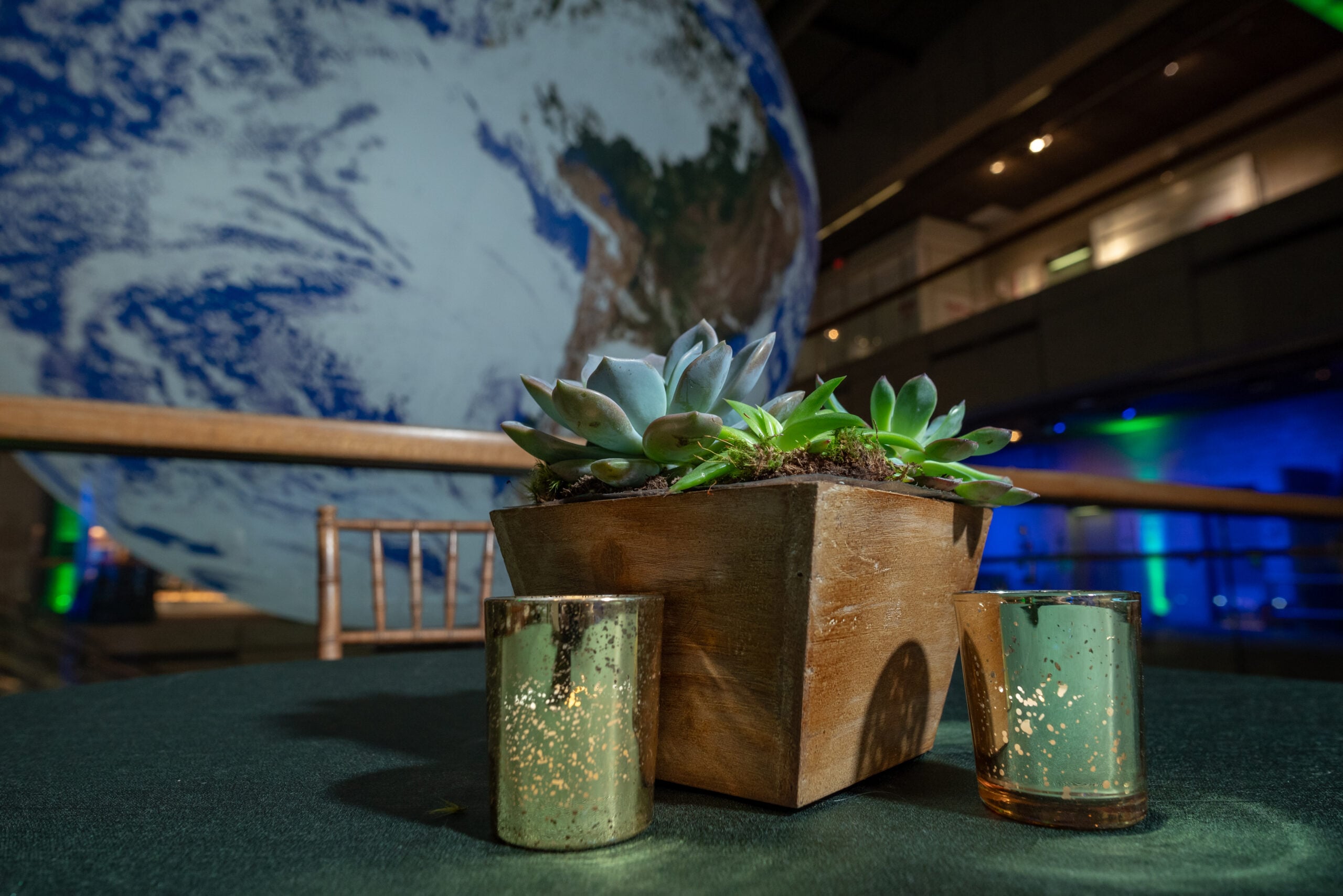 sustainable centerpiece