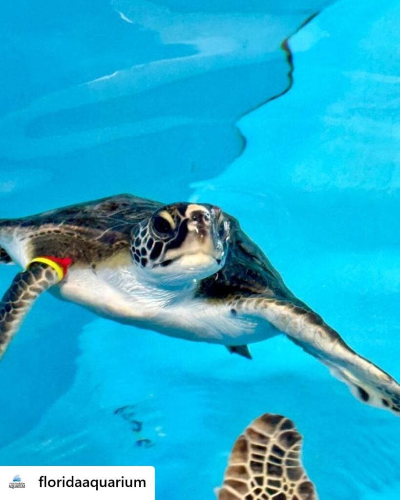 Florida Aquarium