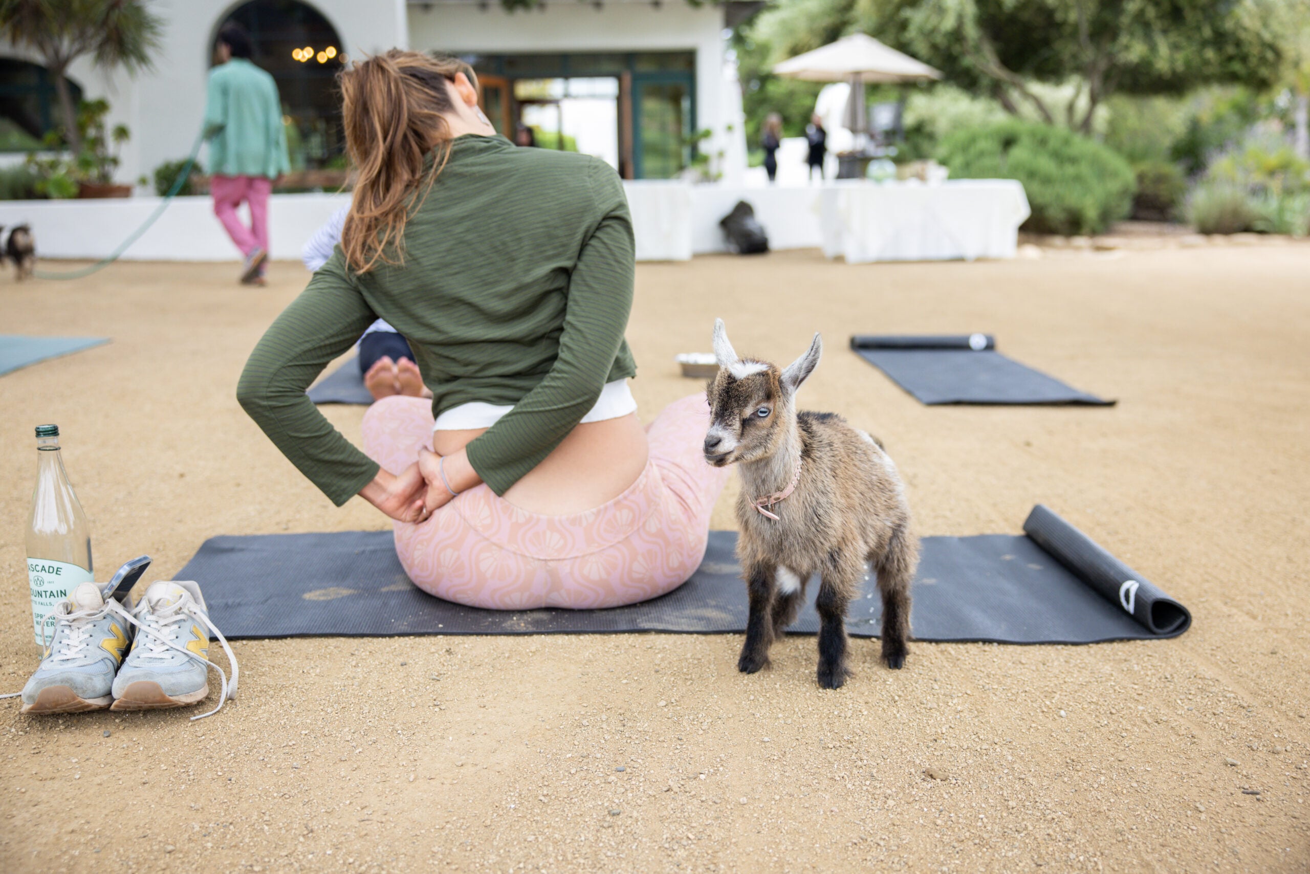 Guests participate in a goat yoga wellness activity at a corporate event.